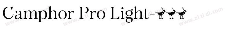 Camphor Pro Light字体转换 Camphor Pro Light字体转换